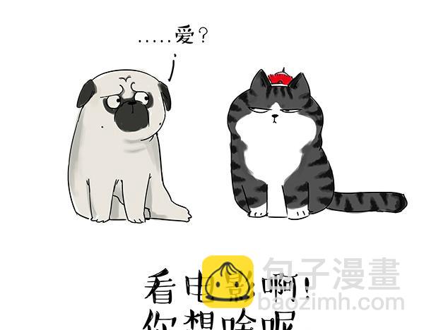 🍘吾皇巴扎黑 第32话 七夕你为什么还单身？ 第5页
