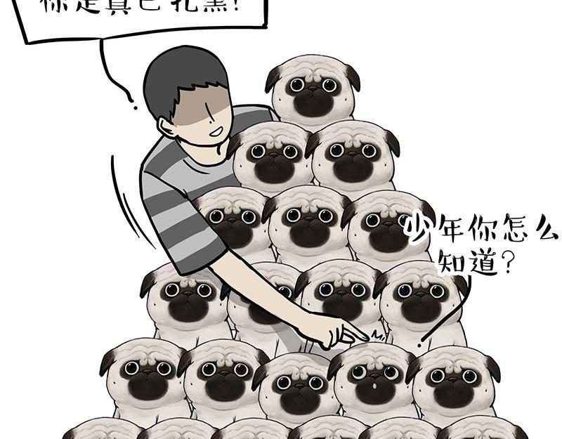 🍘吾皇巴扎黑 第310话 黑里寻黑 第10页