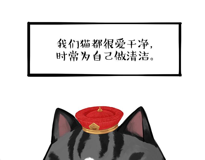 🍘吾皇巴扎黑 第310话 黑里寻黑 第14页