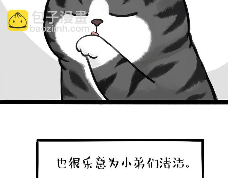🍘吾皇巴扎黑 第310话 黑里寻黑 第15页