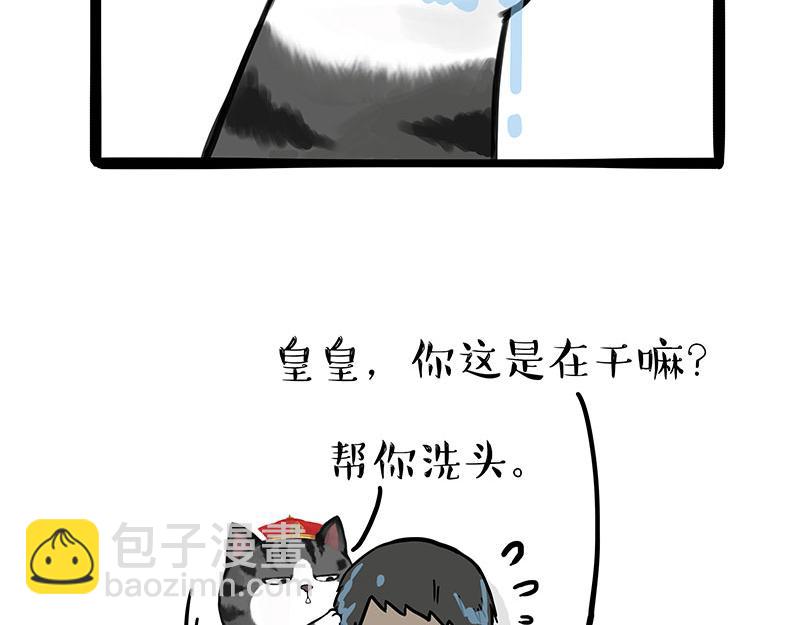 🍘吾皇巴扎黑 第310话 黑里寻黑 第21页