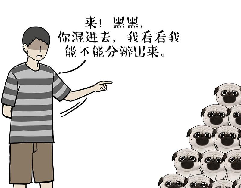 🍘吾皇巴扎黑 第310话 黑里寻黑 第3页