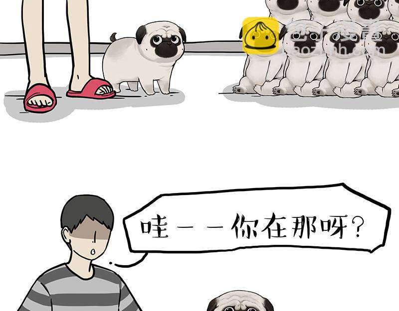 🍘吾皇巴扎黑 第310话 黑里寻黑 第4页