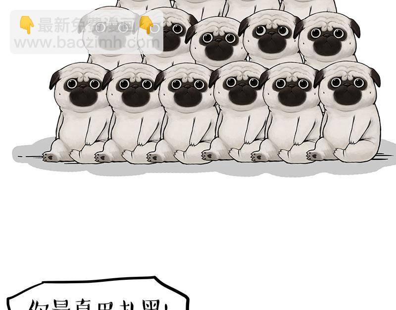 🍘吾皇巴扎黑 第310话 黑里寻黑 第9页