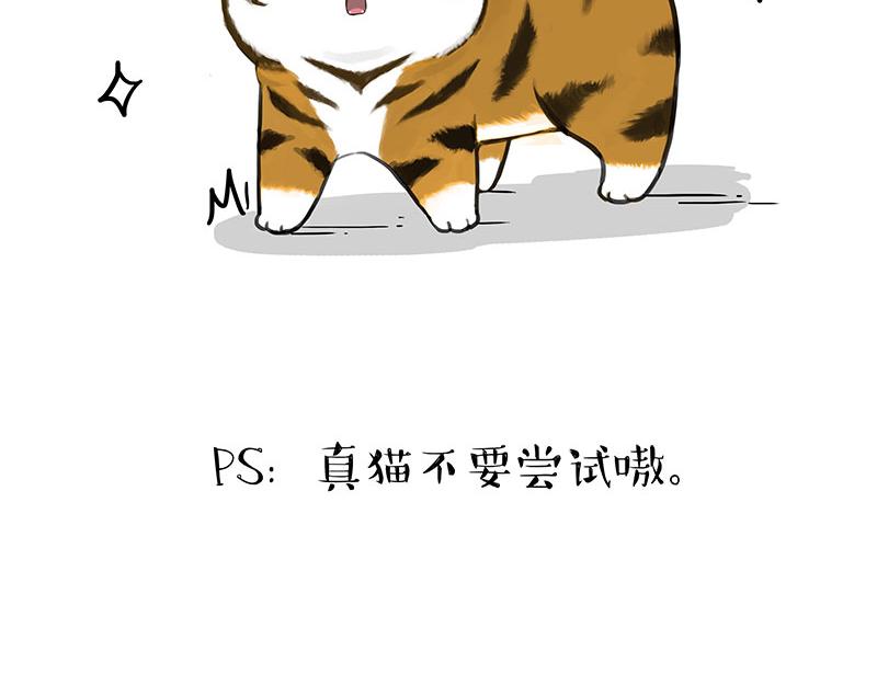 🍘吾皇巴扎黑 第312话 来点年味 第47页