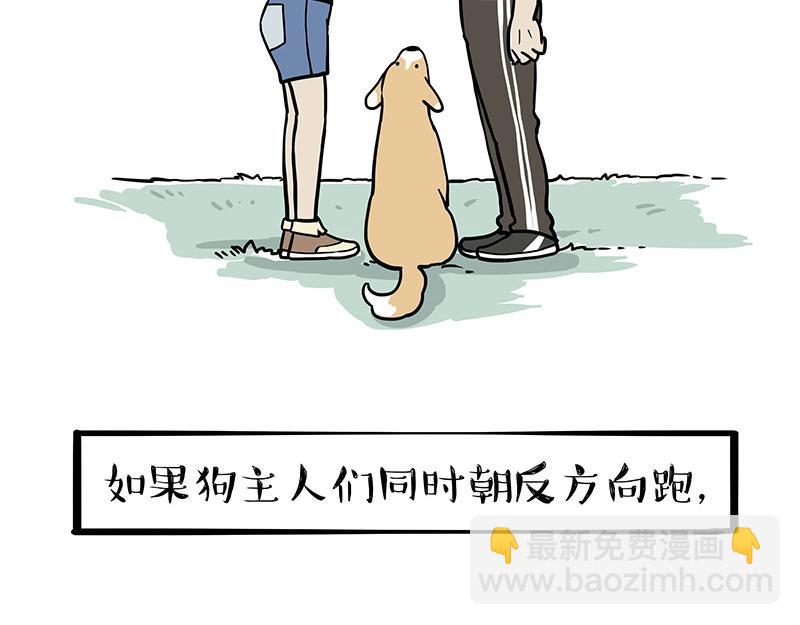🍘吾皇巴扎黑 第318话 这狗没白养 第2页