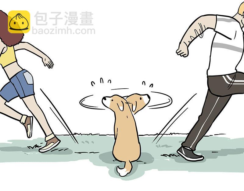🍘吾皇巴扎黑 第318话 这狗没白养 第3页