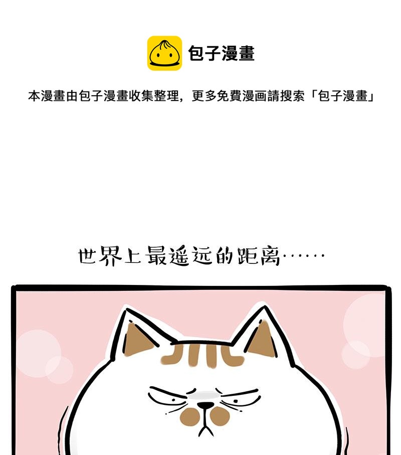 🍘吾皇巴扎黑 第320话 猫孵鱼 第1页