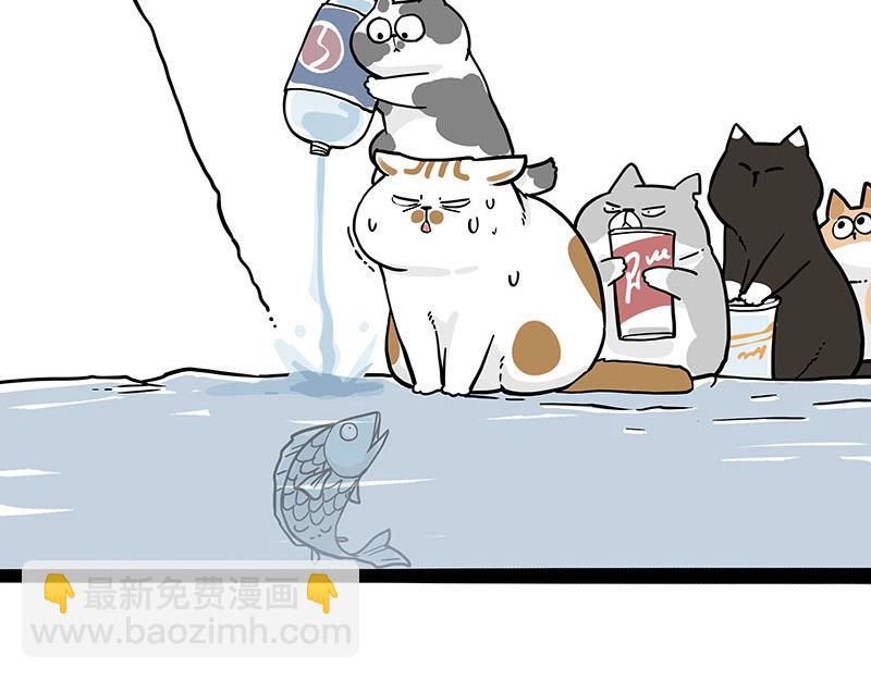 🍘吾皇巴扎黑 第320话 猫孵鱼 第11页