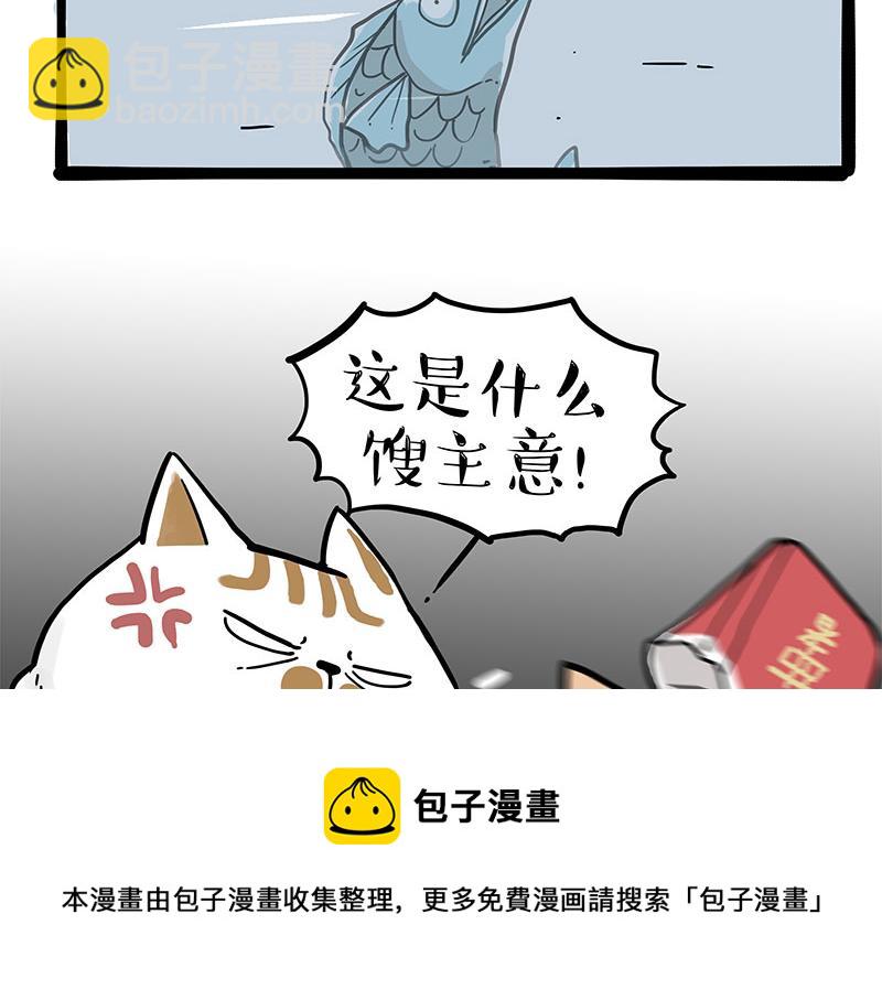 🍘吾皇巴扎黑 第320话 猫孵鱼 第13页