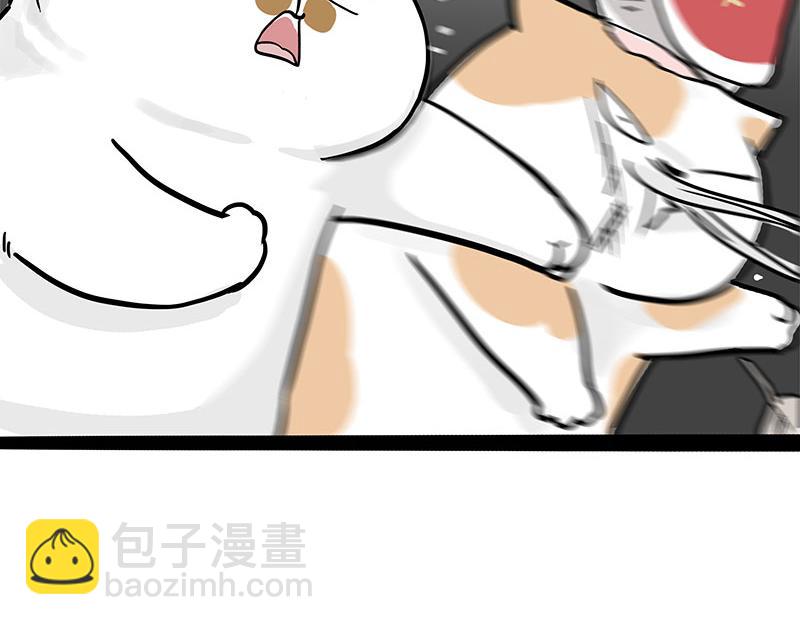 🍘吾皇巴扎黑 第320话 猫孵鱼 第14页