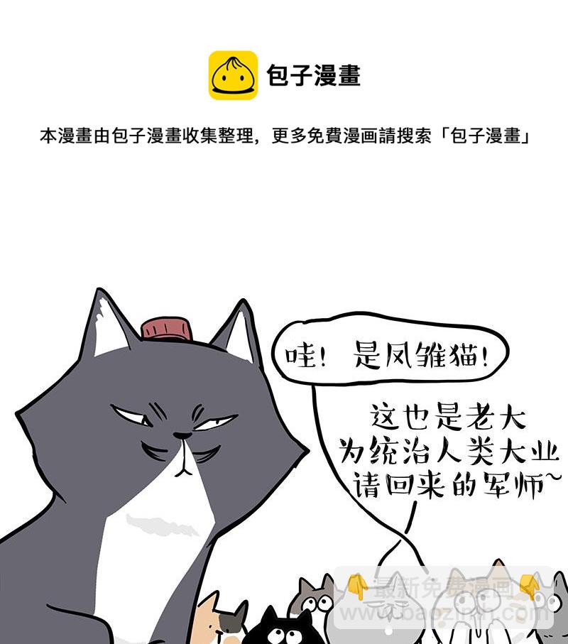 🍘吾皇巴扎黑 第320话 猫孵鱼 第17页