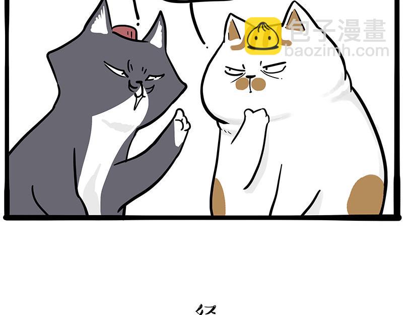 🍘吾皇巴扎黑 第320话 猫孵鱼 第19页