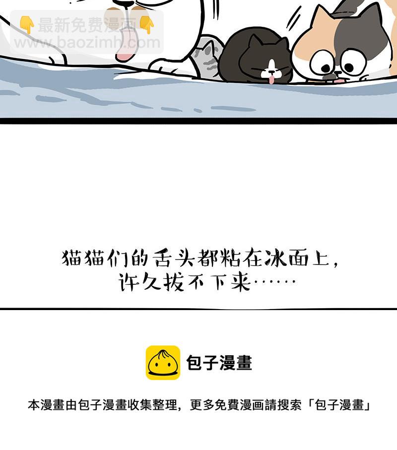 🍘吾皇巴扎黑 第320话 猫孵鱼 第21页