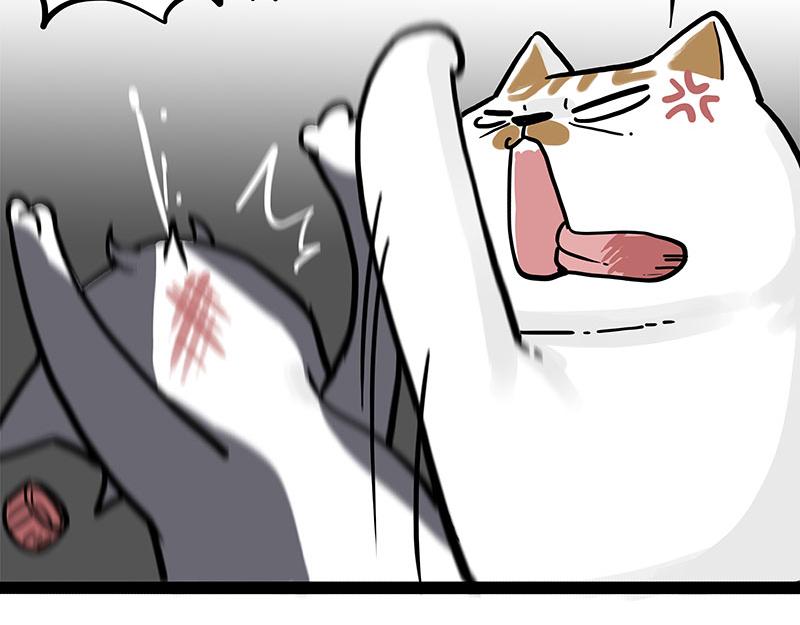 🍘吾皇巴扎黑 第320话 猫孵鱼 第24页