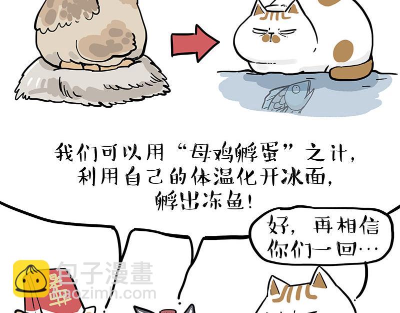 🍘吾皇巴扎黑 第320话 猫孵鱼 第27页