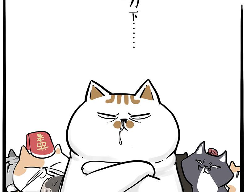 🍘吾皇巴扎黑 第320话 猫孵鱼 第31页