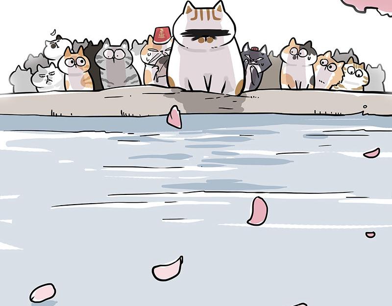 🍘吾皇巴扎黑 第320话 猫孵鱼 第35页