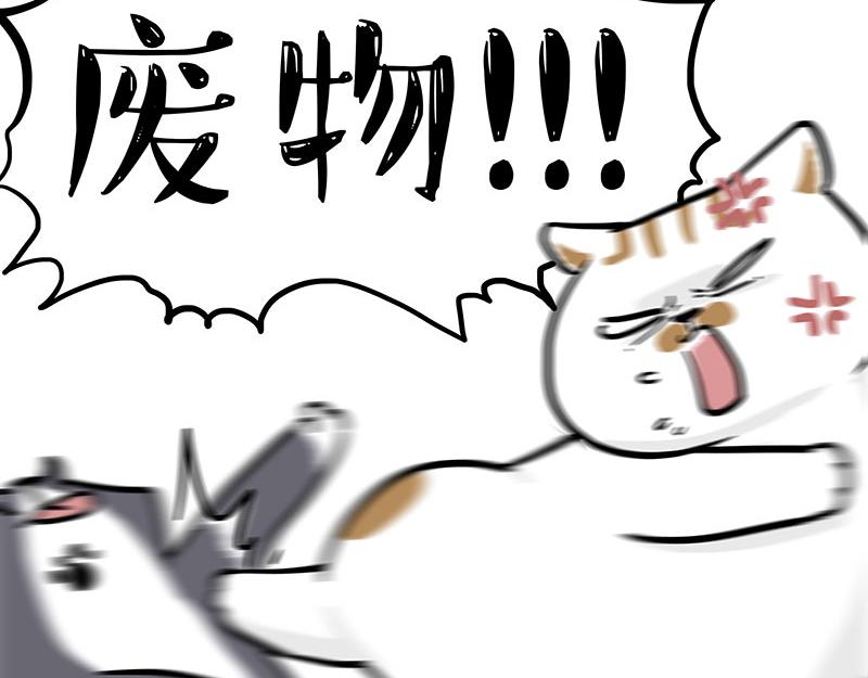 🍘吾皇巴扎黑 第320话 猫孵鱼 第38页