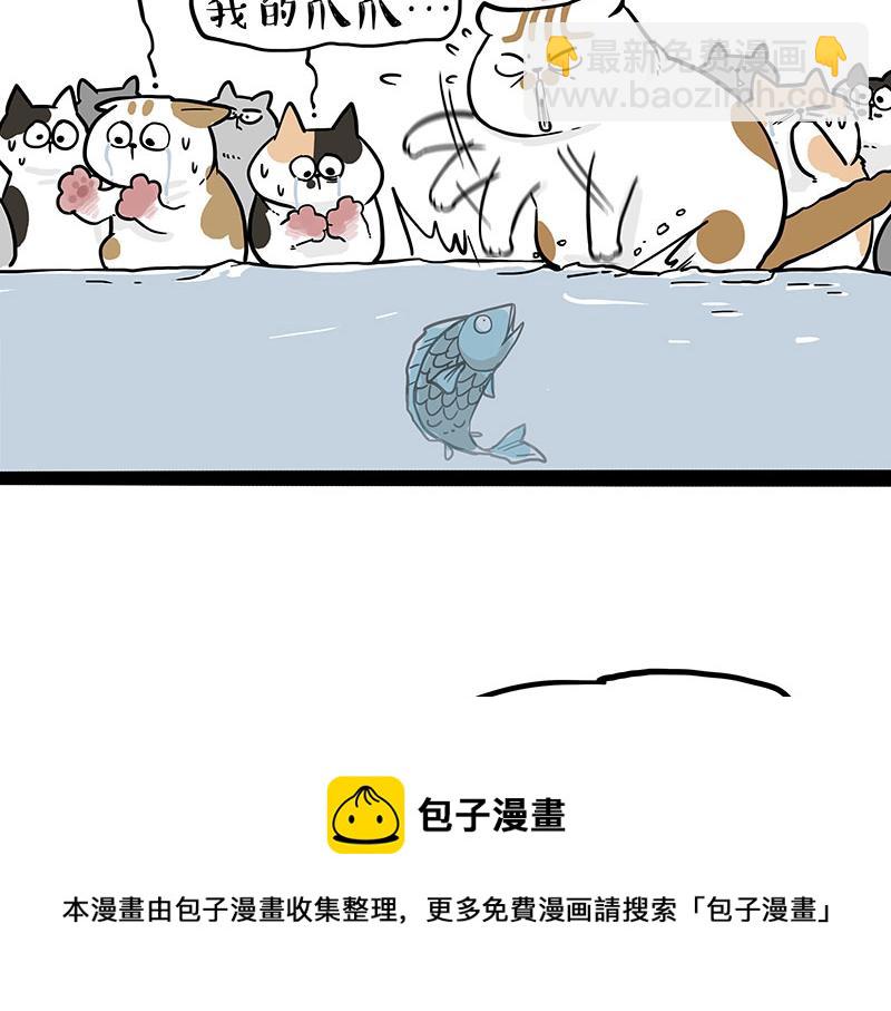 🍘吾皇巴扎黑 第320话 猫孵鱼 第5页