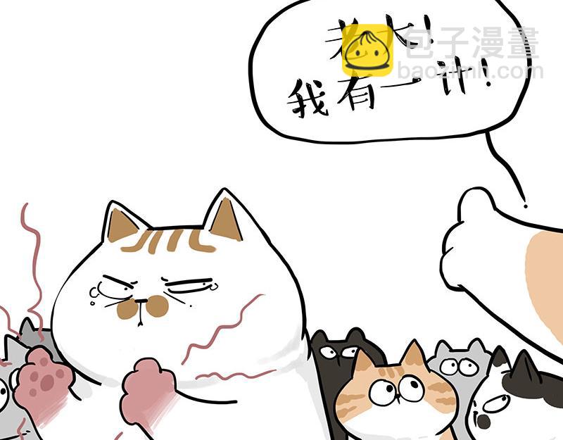 🍘吾皇巴扎黑 第320话 猫孵鱼 第6页
