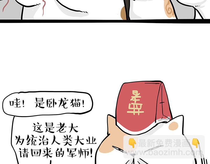 🍘吾皇巴扎黑 第320话 猫孵鱼 第7页