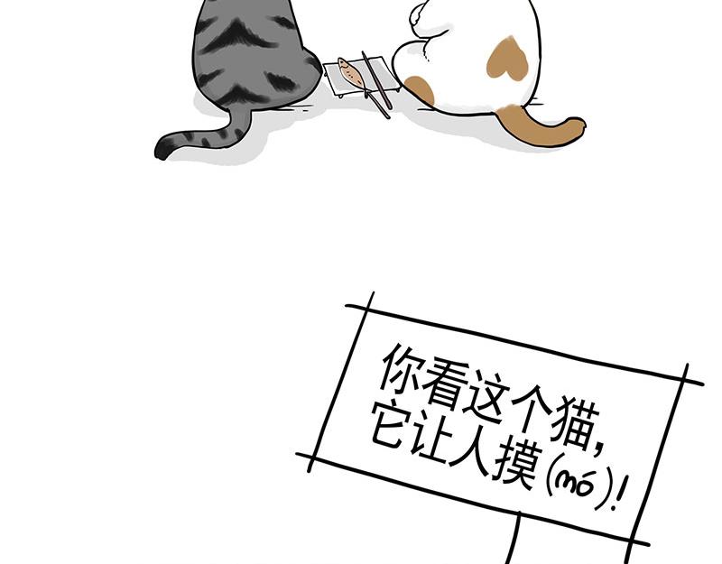 🍘吾皇巴扎黑 第322话 吾皇的孙子 第10页
