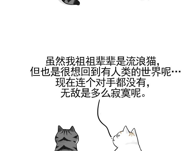 🍘吾皇巴扎黑 第322话 吾皇的孙子 第9页
