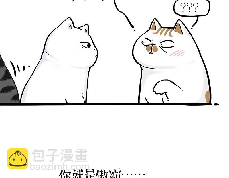 🍘吾皇巴扎黑 第324话 春天转瞬即逝 第12页