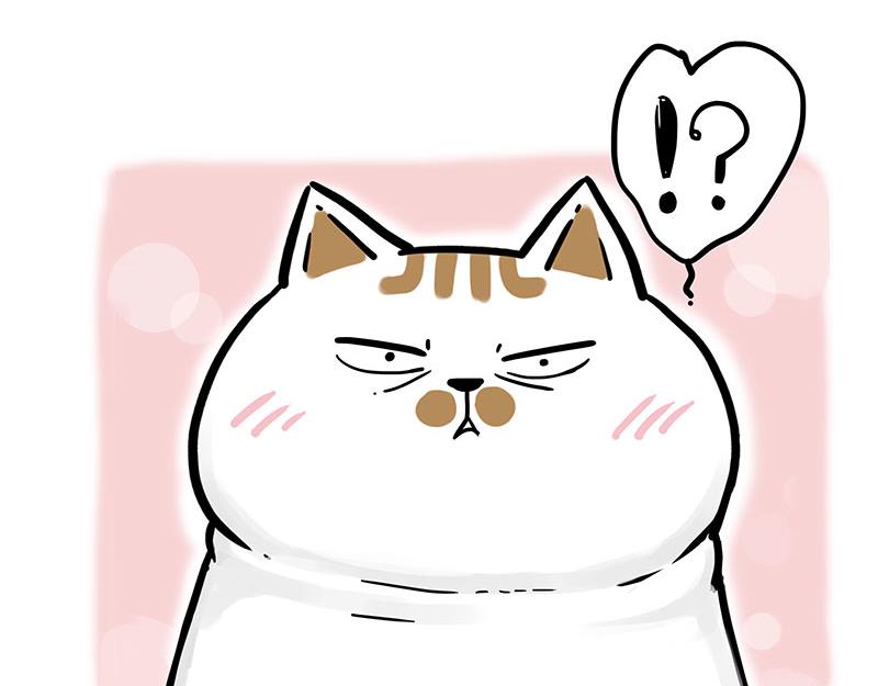 🍘吾皇巴扎黑 第324话 春天转瞬即逝 第15页