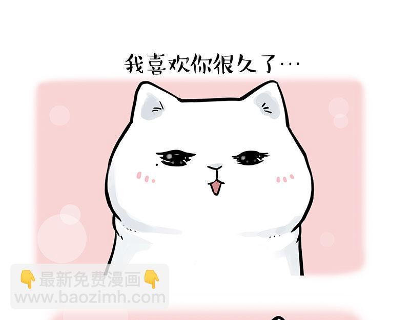 🍘吾皇巴扎黑 第324话 春天转瞬即逝 第17页