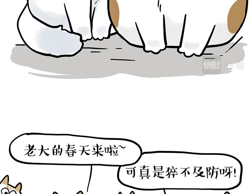 🍘吾皇巴扎黑 第324话 春天转瞬即逝 第22页