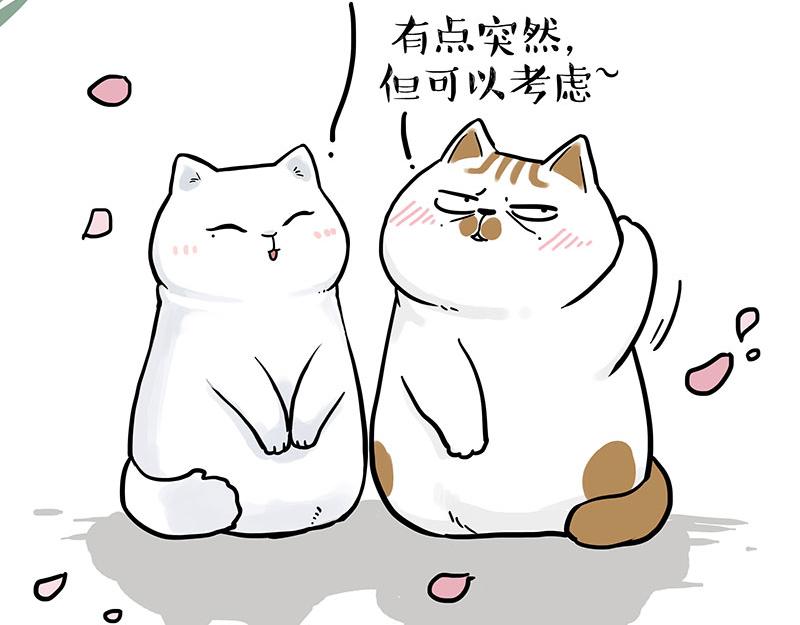 🍘吾皇巴扎黑 第324话 春天转瞬即逝 第24页