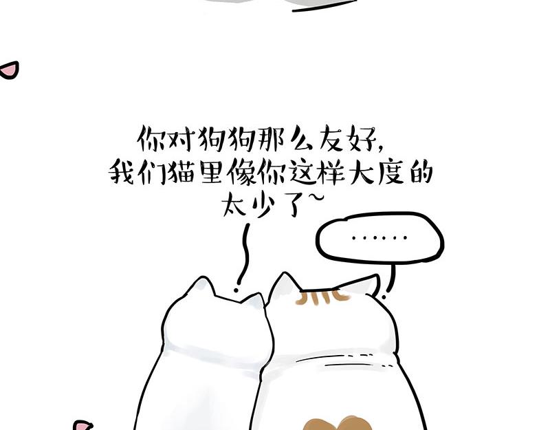 🍘吾皇巴扎黑 第324话 春天转瞬即逝 第29页