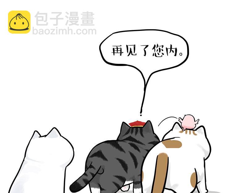 🍘吾皇巴扎黑 第324话 春天转瞬即逝 第49页