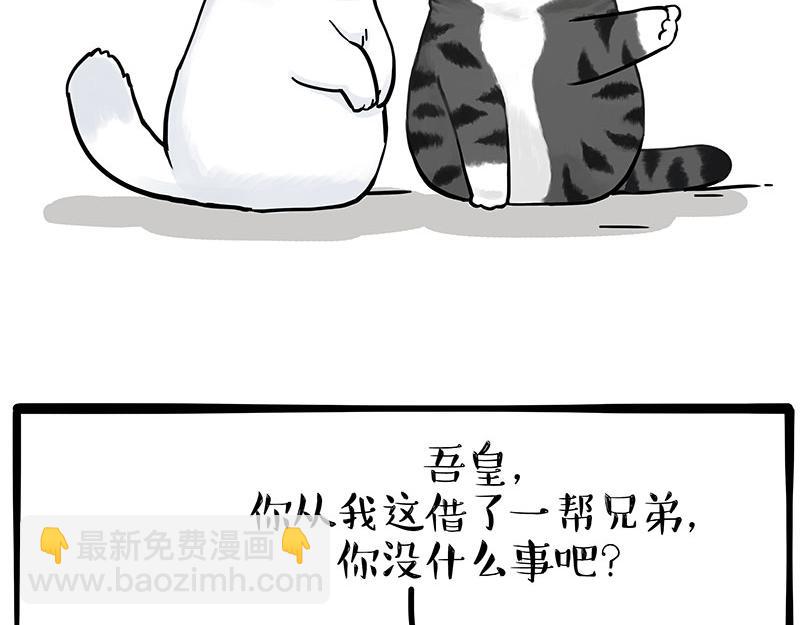 🍘吾皇巴扎黑 第324话 春天转瞬即逝 第7页