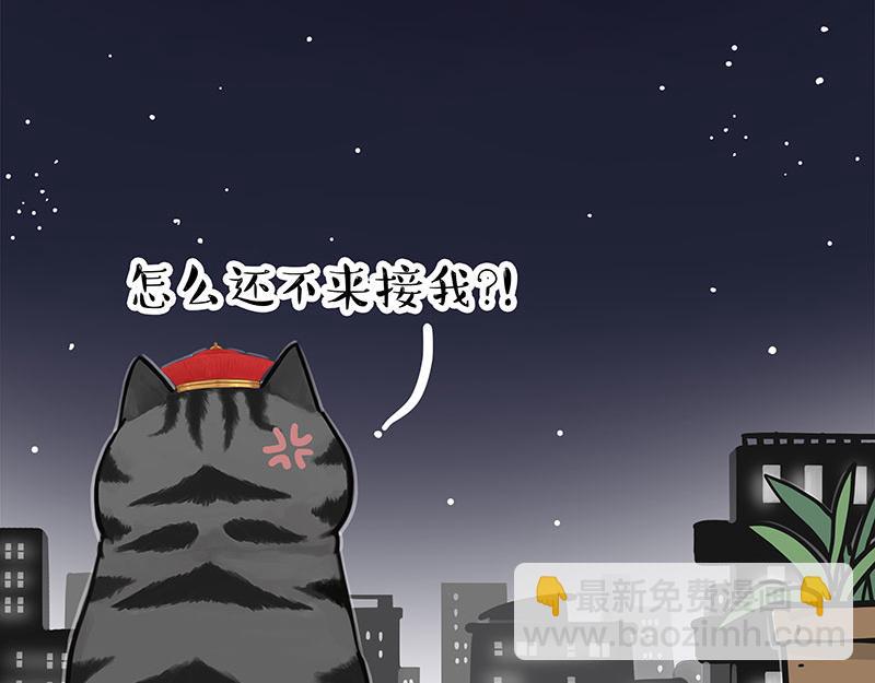 🍘吾皇巴扎黑 第326话 学好航天，接喵回家 第32页