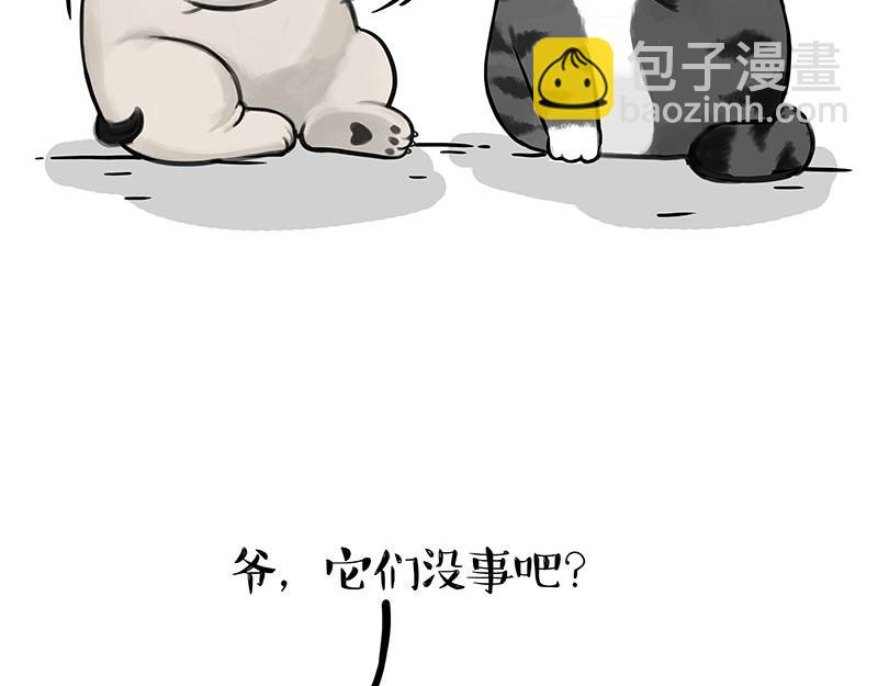 🍘吾皇巴扎黑 第336话 “告别”仪式 第15页