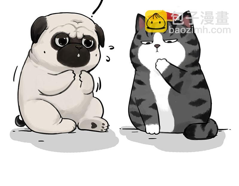 🍘吾皇巴扎黑 第336话 “告别”仪式 第16页
