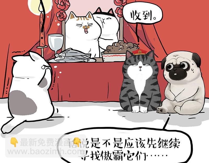 🍘吾皇巴扎黑 第336话 “告别”仪式 第38页