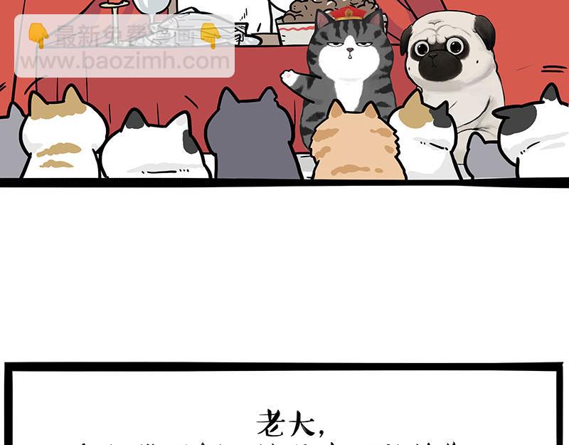 🍘吾皇巴扎黑 第336话 “告别”仪式 第41页