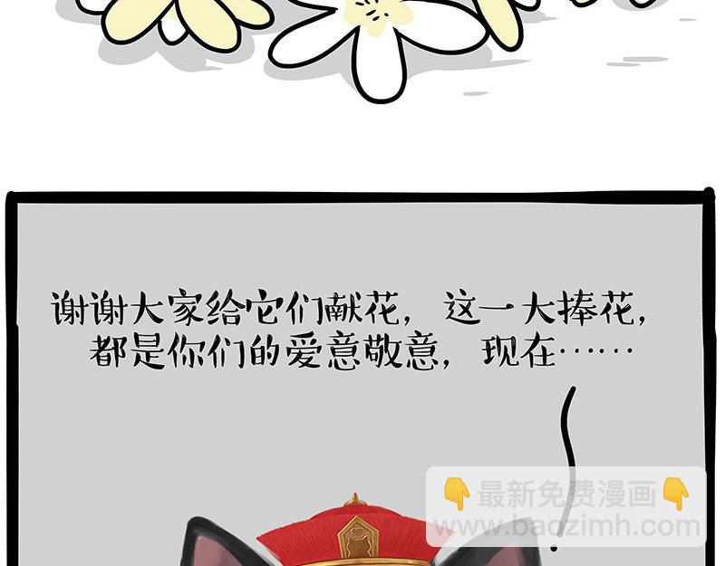 🍘吾皇巴扎黑 第336话 “告别”仪式 第46页