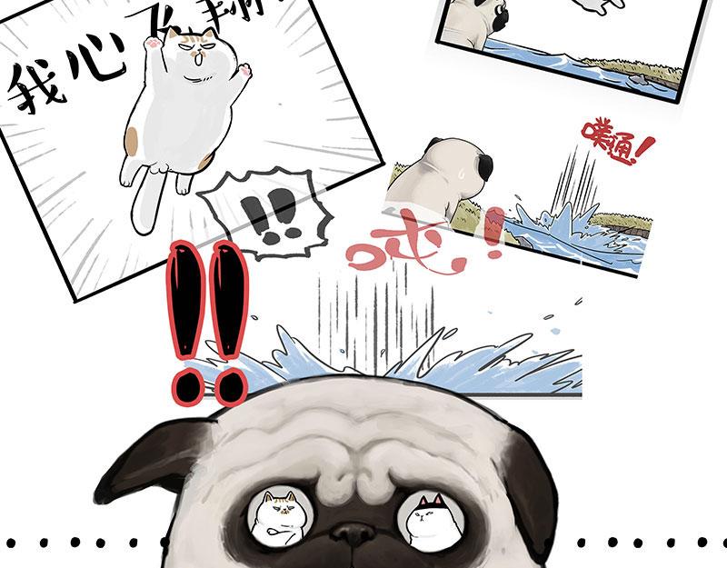 🍘吾皇巴扎黑 第336话 “告别”仪式 第9页