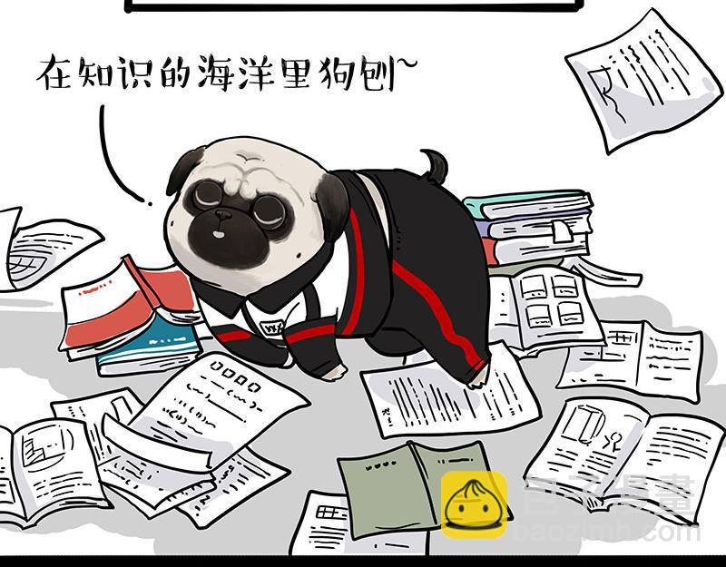 🍘吾皇巴扎黑 第338话 嗨！同学 第15页