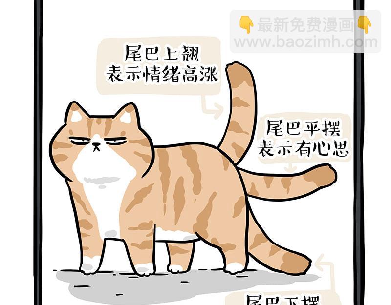 🍘吾皇巴扎黑 第340话 自我攻略 第11页