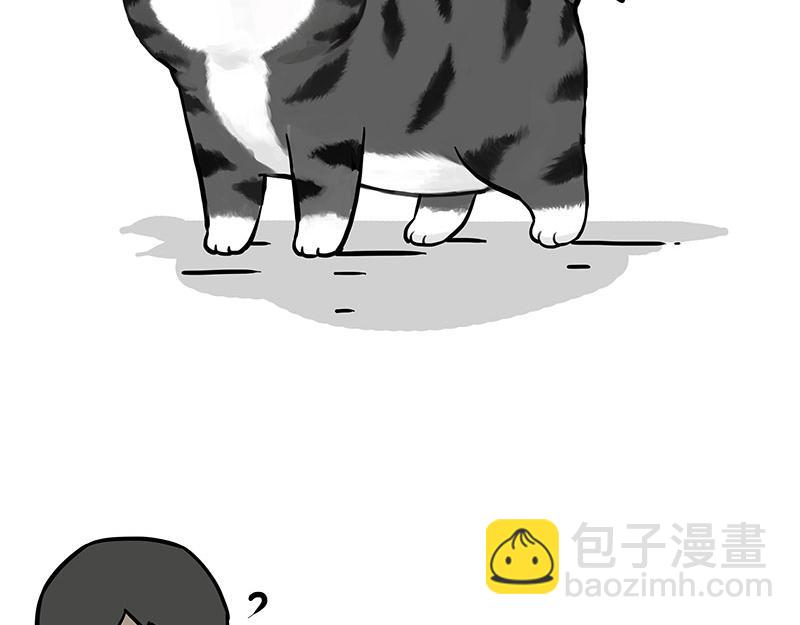 🍘吾皇巴扎黑 第340话 自我攻略 第17页