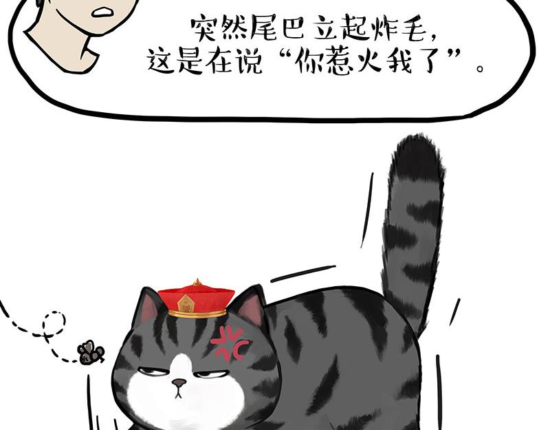 🍘吾皇巴扎黑 第340话 自我攻略 第22页