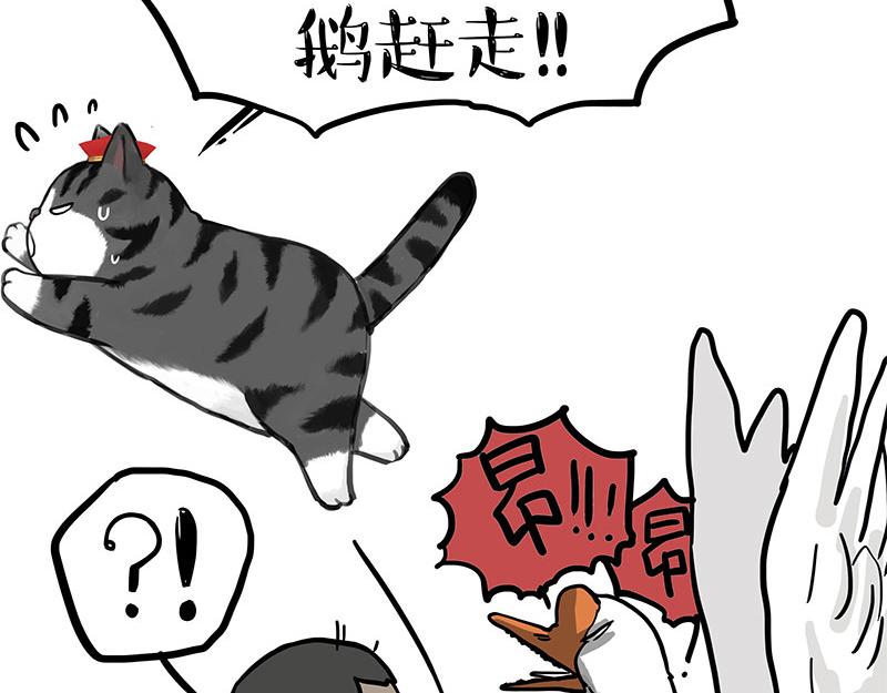 🍘吾皇巴扎黑 第340话 自我攻略 第7页