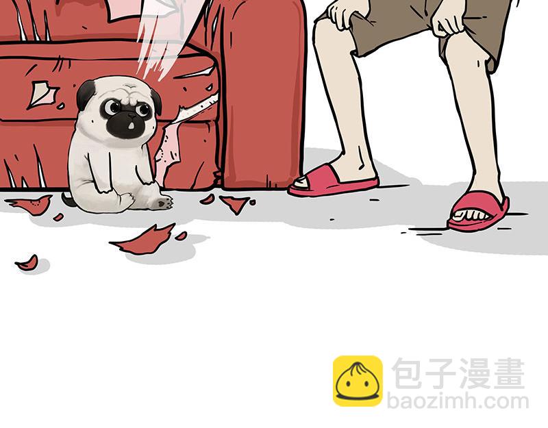 🍘吾皇巴扎黑 第344话 人生止痛剂 第21页