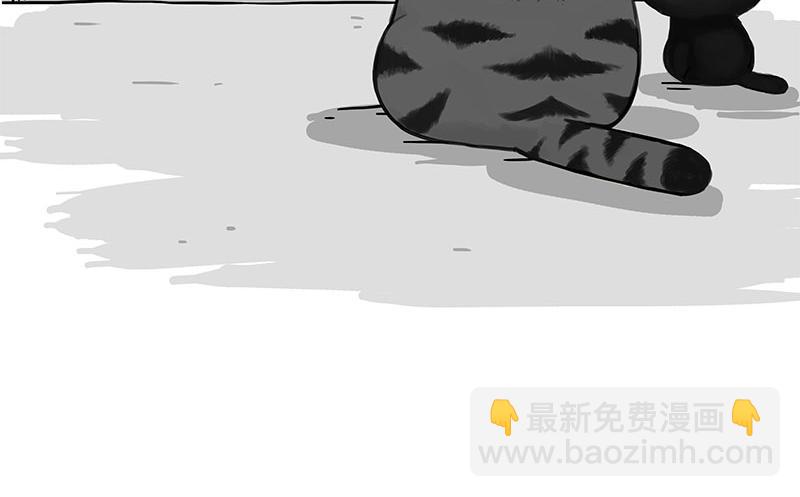 🍘吾皇巴扎黑 第346话 温柔都给你 第13页